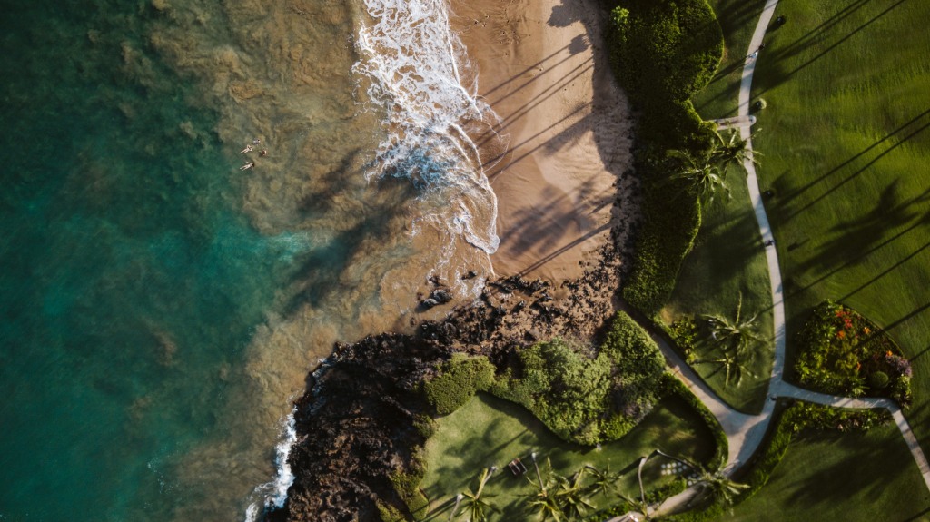 Island Vibes in Maui